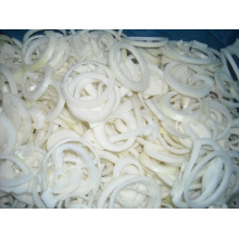 Frozen Onion Rings (2010 New Crop)